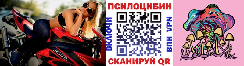 где купить наркоту  Люберцы  Псилоцибиновые грибы MAGIC MUSHROOMS 