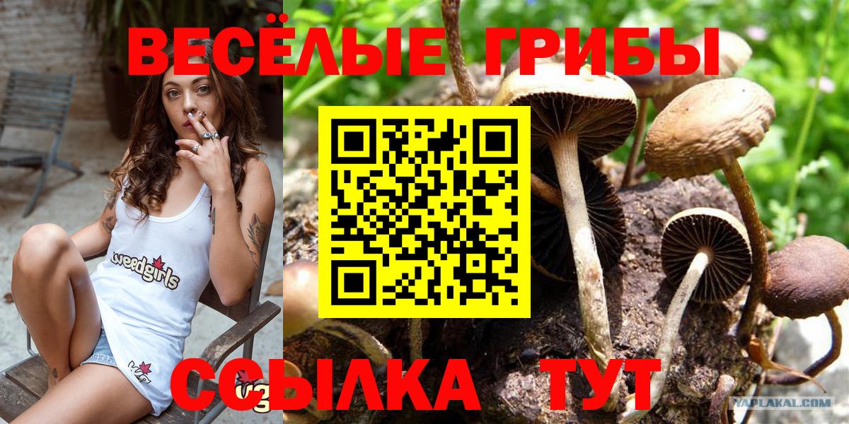 Галлюциногенные грибы Cubensis  дарнет шоп  Люберцы  Вход с VPN 