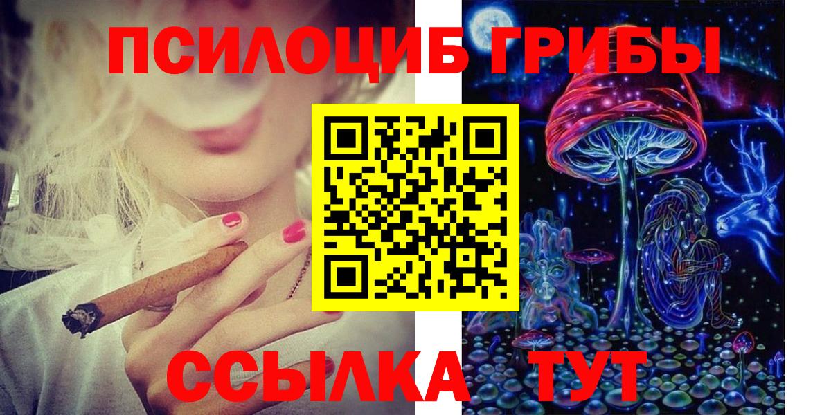 Псилоцибиновые грибы мицелий Люберцы